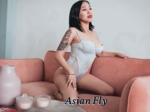 Asian_Fly