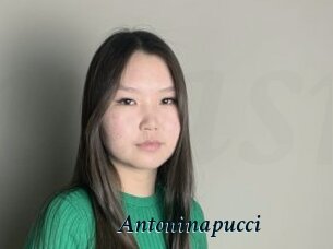 Antoninapucci