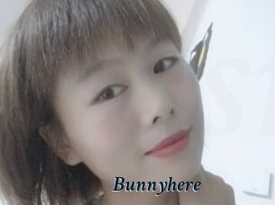 Bunnyhere