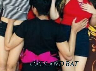 CATS_AND_BAT