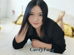 CareyYang