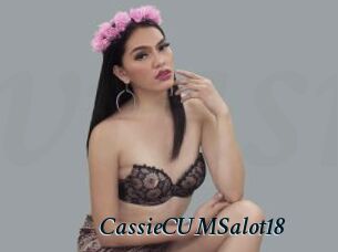 CassieCUMSalot18