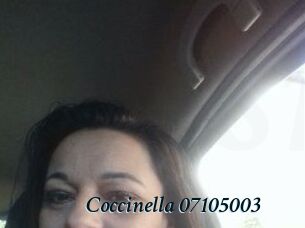 Coccinella-07105003