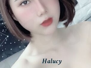 Halucy