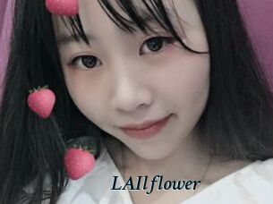 LAIlflower