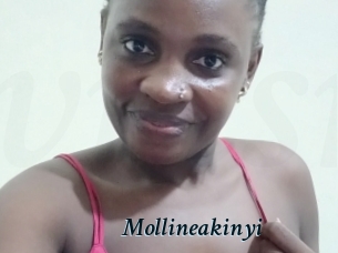 Mollineakinyi