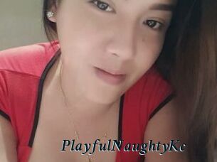 PlayfulNaughtyKc