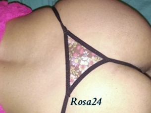 Rosa24