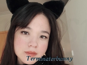 Terminatorbunny