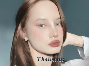 Thaivenus