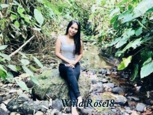 Wild_Rose18