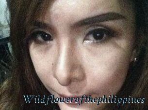 Wildflowerofthephilippines