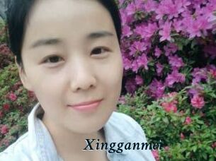 Xingganmei